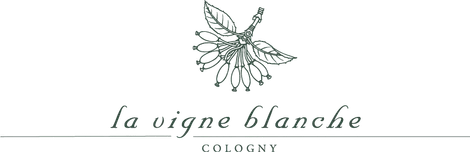 Nos Partenaires Logo Domaine de la Vigne Blanche